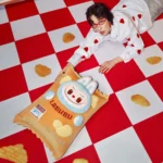 Poduszka Labubu z serii “Potwory Wacky Mart” (Chips) 3
